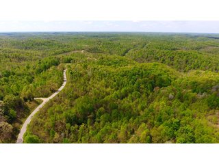 Property photo 9 - LAND AUCTION - 1,682+/- ACRES OFFERED IN 17 TRACTS IN LEWIS & GREENUP COUNTIES, KENTUCKY